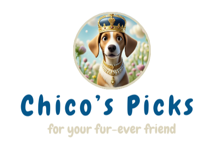 Chicos Picks